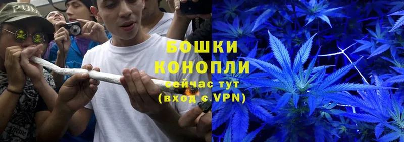 Канабис Ganja  Родники 